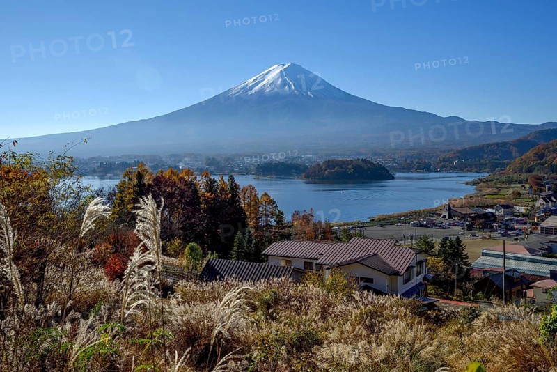 Volcano Fuji or Fudschijama with snow-capped summit, 3776 m high volcano, at Lake Kawaguchi, Fujikawaguchiko, Yamanashi Prefecture, Honshu Island, Japan, Asia