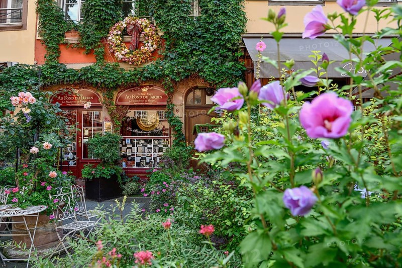 Au Fond du Jardin, confectionery and tea house, Strasbourg, Département Bas-Rhin, Alsace, France, Europe