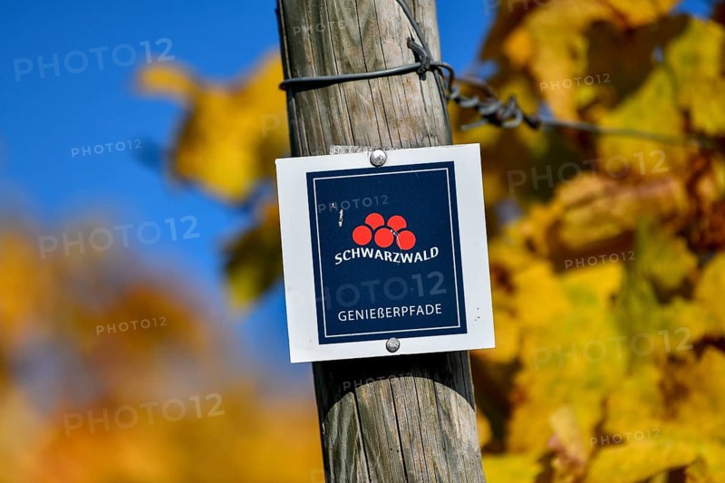 Sign Genießerpfade Black Forest, in the background vines, near Durbach, Ortenaukreis, Black Forest, Baden-Württemberg, Germany, Europe