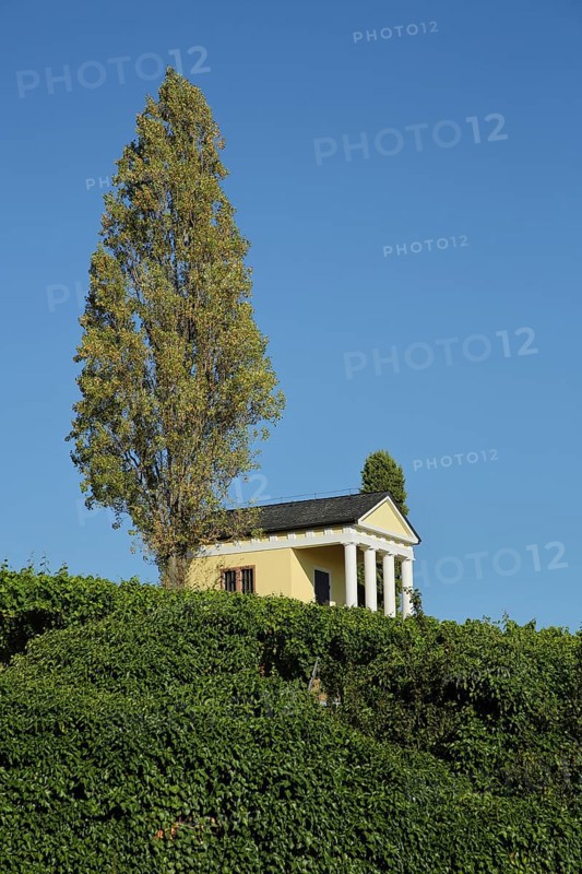 Yellow temple with columns as vineyard cottage with single poplar in between Maikammer and Edenkoben, Weinstraße, Rhineland-Palatinate, Germany, Europe