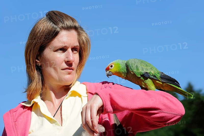 Woman with ecuador amazon (Amazona autumnalis lilacina), France, Europe