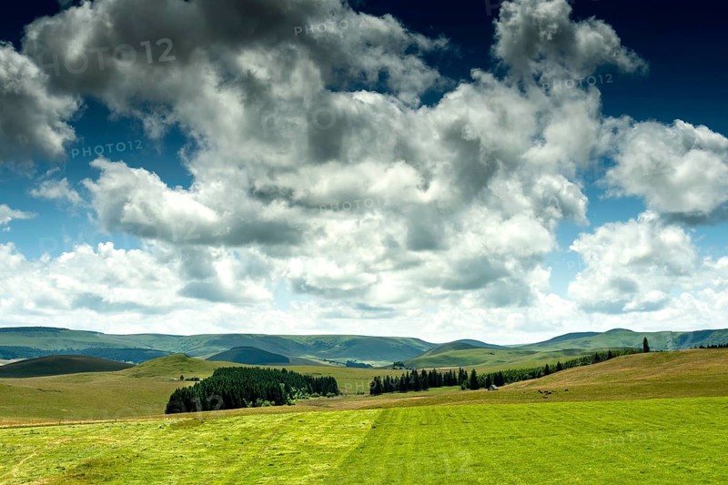 Cezallier plateau in the Auvergne volcanoes regional natural park, Puy de Dome department, Auvergne-Rhone-Alpes, France, Europe