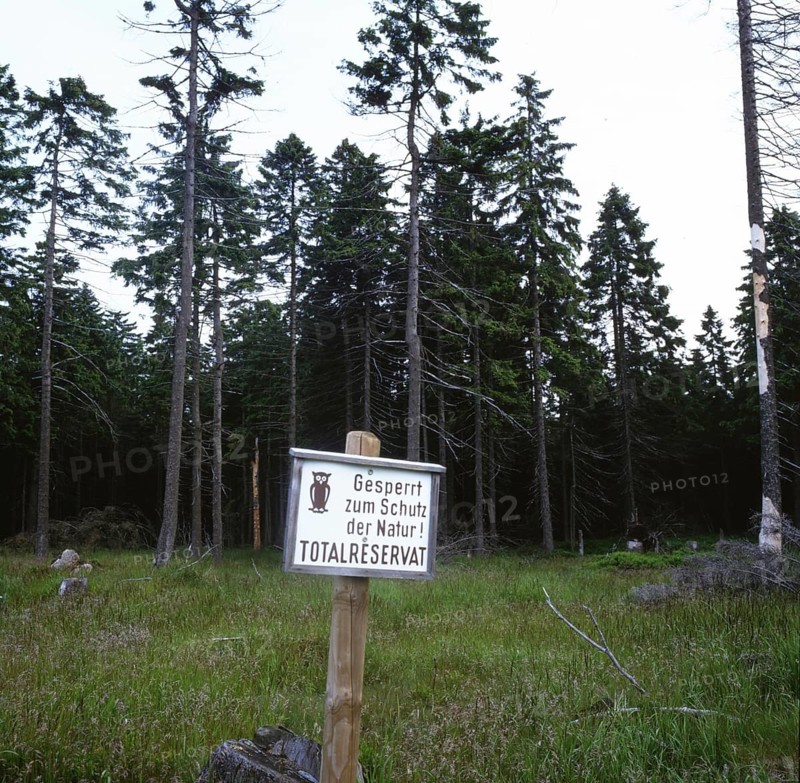DEU, Germany: The historical slides from the times 80-90s . a.o. Harz. Nature reserve. 80s total reserve