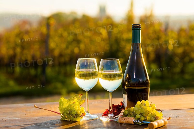 The wine-growing region of Saxony is one of the smallest and the most easterly wine-growing region in Germany, defined in § 3 para. 1 no. 12 of the Wine Act. It is located almost exclusively in the Dresden conurbation in the Elbe valley. Well-known wine towns are Meißen, which gives its name to the most important area, and Radebeul