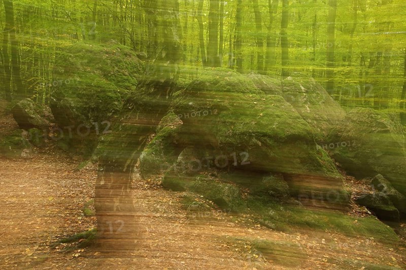 Photo art in the forest with rocks with moss, birch trunk, spring, motion blur, wiper, Bremthal, Eppstein, Taunus, Hesse, Germany, Europe