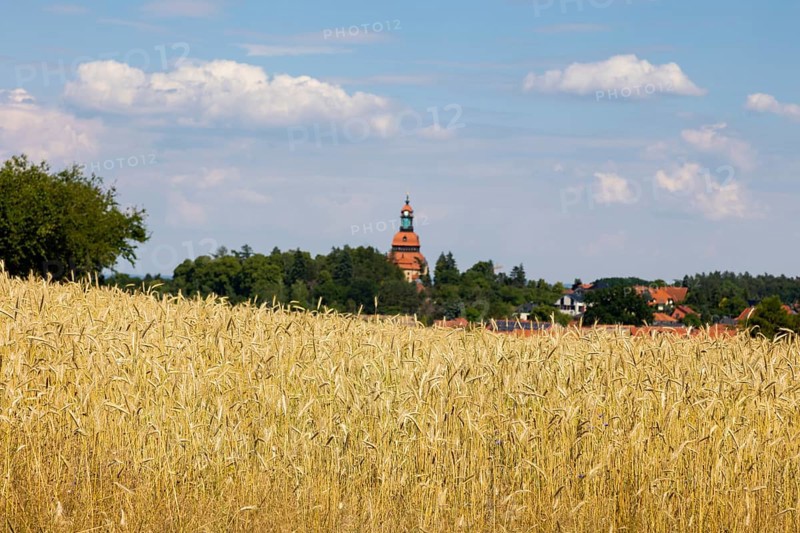On the edge of Eisenberg, you can look across ripe cornfields to the Moritzburg Evangelical Lutheran Church