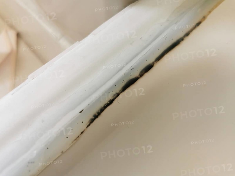Mould formation on the silicone seal of a shower cubicle