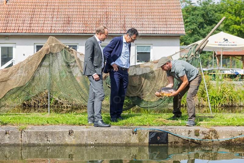 Federal Minister of Food and Agriculture, Cem Özdemir, visits the Karsten Ringpfeil pond farm in Königswartha together with Saxony's Minister of Agriculture, Wolfram Günther