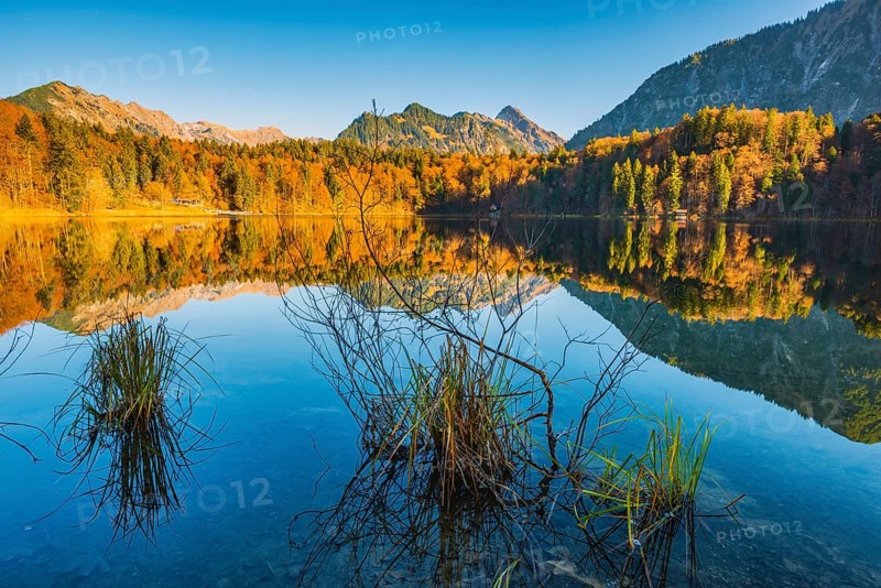 Freibergsee, near Oberstdorf, with the Allgäu Alps behind, Allgäu, Bavaria, Germany, Europe
