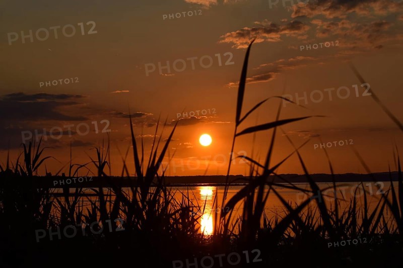 Sunset in Hirschauer Bucht on Lake Chiemsee in the nature reserve at the mouth of the Tiroler Achen, Bavaria, Germany, Europe