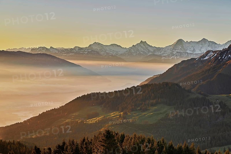 View from the Gurnigel Pass over the sea of fog behind Schreckhorn, Eiger, Mönch, Canton Bern, Switzerland, Europe