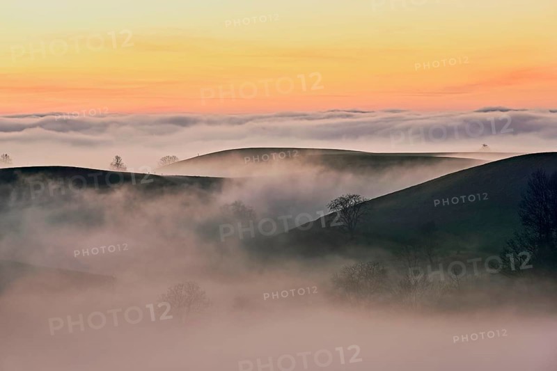 Drumlin landscape in the fog, in the light of the setting sun, Hirzel, Canton Zurich, Switzerland, Europe