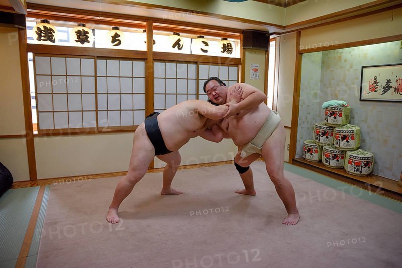 Sumo wrestler during training, Asakusa, Tokyo, Japan, Asia