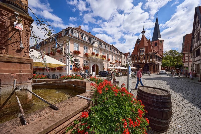 Market square with market fountain and geraniums, historic town hall and buildings under a blue sky with cumulus clouds in Michelstadt, Odenwald, Odenwaldkreis, Hesse, Germany, Europe