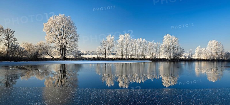 Half-frozen small lake in winter, arm of the Saale, trees with snow and hoarfrost on the shore, ice crystals in the foreground, Lower Saale Valley nature park Park, Halle, Saxony-Anhalt, Germany, Europe
