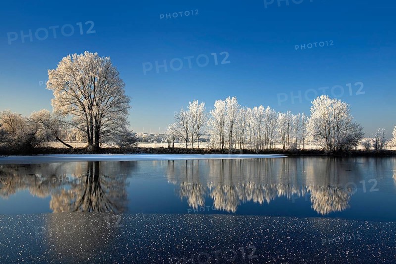 Half-frozen small lake in winter, arm of the Saale, trees with snow and hoarfrost on the shore, ice crystals in the foreground, Lower Saale Valley nature park Park, Halle, Saxony-Anhalt, Germany, Europe