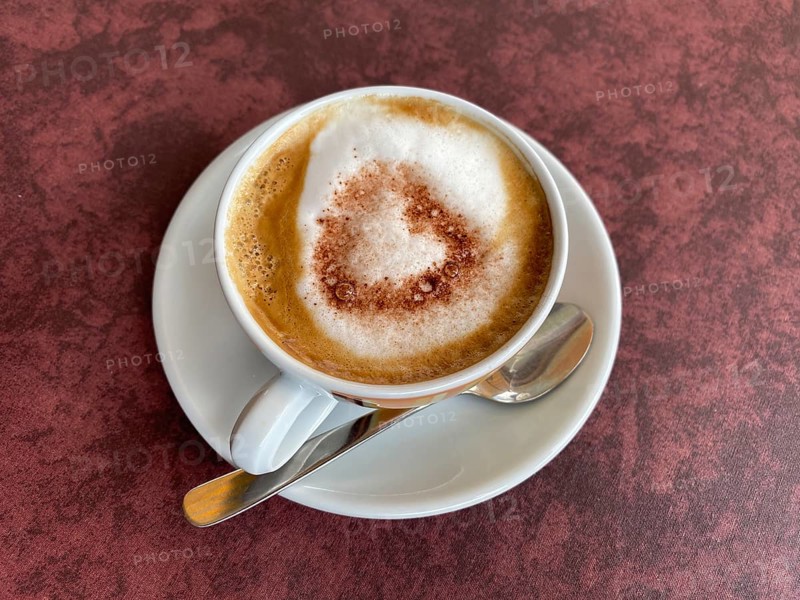 Cup of cappuccino, milk foam, cocoa, food, Schenna, Scena, South Tyrol, Autonomous Province of Bolzano, Italy, Europe