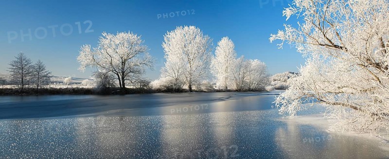 Half-frozen small lake in winter, arm of the Saale, trees with snow and hoarfrost on the shore, ice crystals in the foreground, Lower Saale Valley nature park Park, Halle, Saxony-Anhalt, Germany, Europe