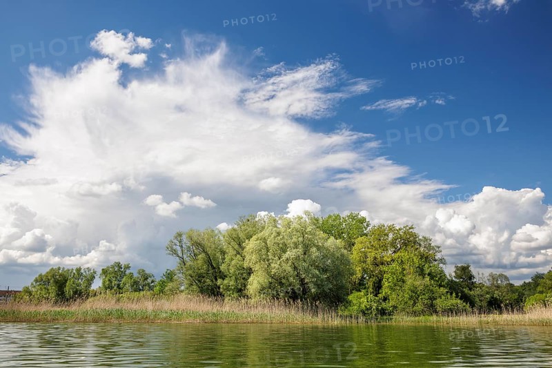 Sunny day at a lake with dramatic cloud formations and green trees along the shore, Markelfingen, Markelfingerwinkel, Untersee, Lake Constance, Constance District, Baden-Württemberg, Germany, Europe