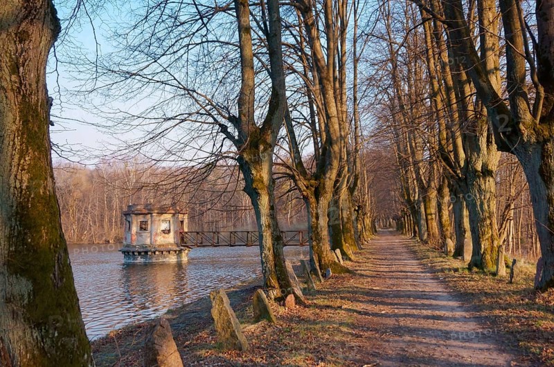 Alley on the lake, old observation deck on the pond, observation gazebo on the lake, Kolosovka village, Great pond, Kaliningrad region, Russia, Europe