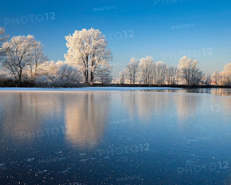 Half-frozen small lake in winter, arm of the Saale, trees with snow and hoarfrost on the shore, ice crystals in the foreground, Lower Saale Valley nature park Park, Halle, Saxony-Anhalt, Germany, Europe