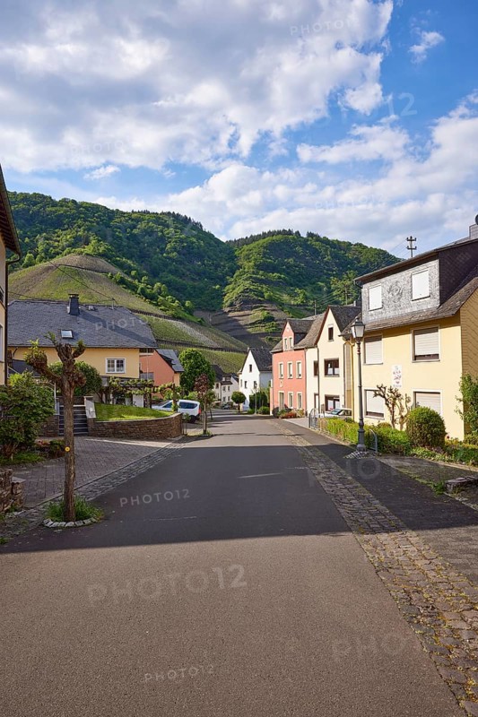 Brunnenstraße with houses and vineyards under a blue sky with white cumulus clouds in Bremm, district of Cochem-Zell, Rhineland-Palatinate, Germany, Europe