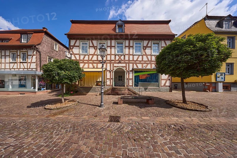 Half-timbered house with trees on Braunstraße in Michelstadt, Odenwald, Odenwaldkreis, Hesse, Germany, Europe