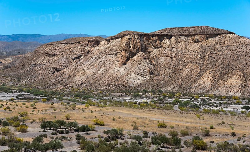 Rocky mountain landscape with scattered desert vegetation and a clear blue sky, Llano de Buho, Tabernas Desert, Desierto de Tabernas, location of numerous films and westerns, Tabernas, Almeria, Andalusia, Spain, Europe