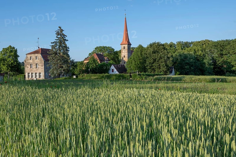 St Egidien Church, in front a wheat field (Triticum aestivum), Beerbach, Middle Franconia, Bavaria, Germany, Europe
