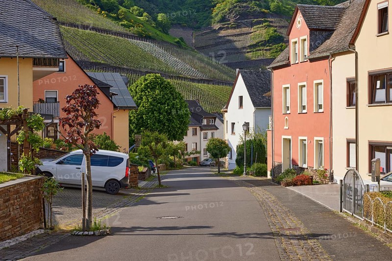 Brunnenstrasse with houses and vineyards in Bremm, Cochem-Zell district, Rhineland-Palatinate, Germany, Europe
