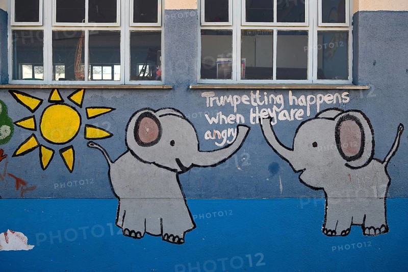 Mural painting at Gariseb Primary School, boarding school for 350 children, elephants, Anixab, Ugab dry river, Damaraland, Kunene region, Namibia, Africa