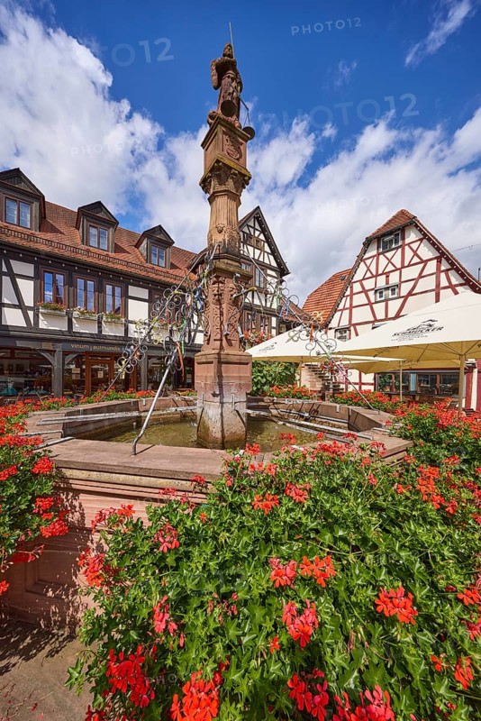 Historic market fountain with geraniums in front of a blue sky with cumulus clouds in Michelstadt, Odenwald, Odenwaldkreis, Hesse, Germany, Europe