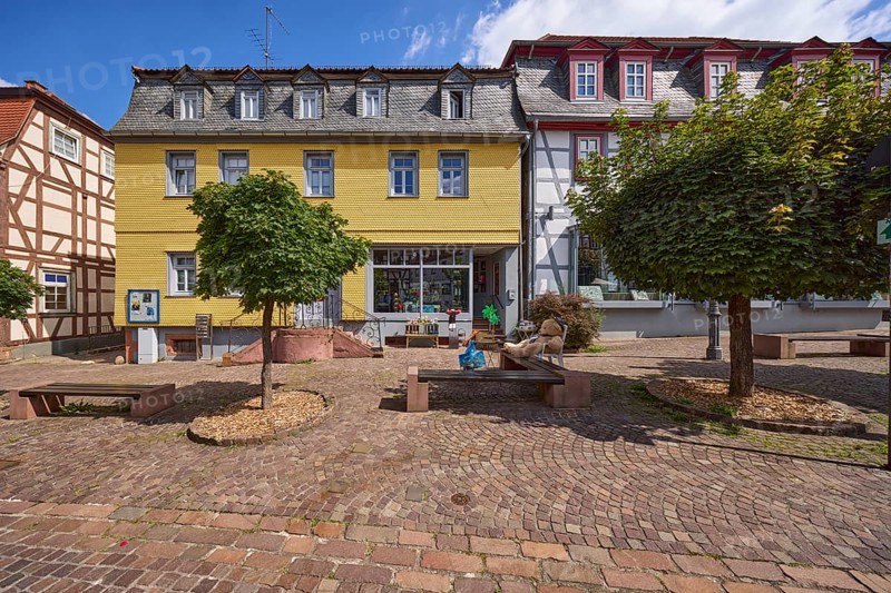 Historic buildings with trees on Braunstraße, city centre of Michelstadt, Odenwald, Odenwaldkreis, Hesse, Germany, Europe