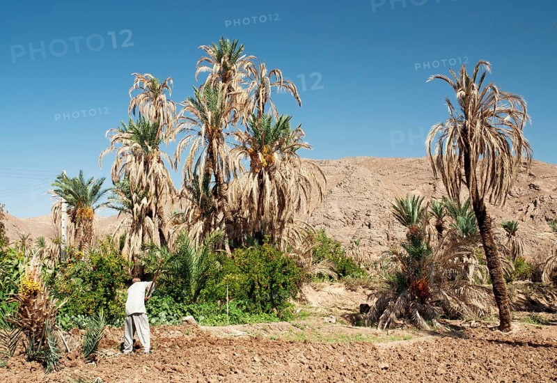 Persian farmers in garmeh oasis near yazd in iran