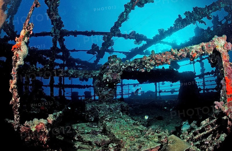 Diver on the Umbria shipwreck, Sudan, Africa, Red Sea, Wingate Reef, Africa