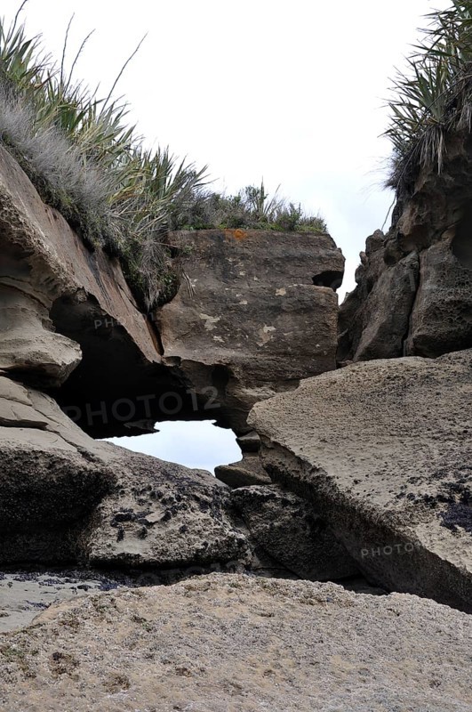Limestone erosion at the Truman Track, Paparoa National Park, West Coast, South Island, New Zealand, Oceania