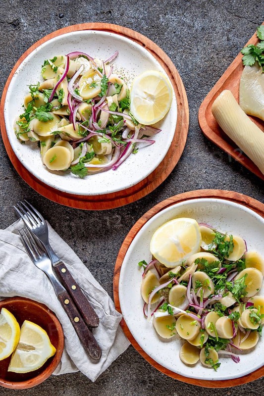 SEAWEED ULTE or HULTE. Chilean ulte salad ceviche with purple onion, coriander and lemon juice. Pacific edible seaweed