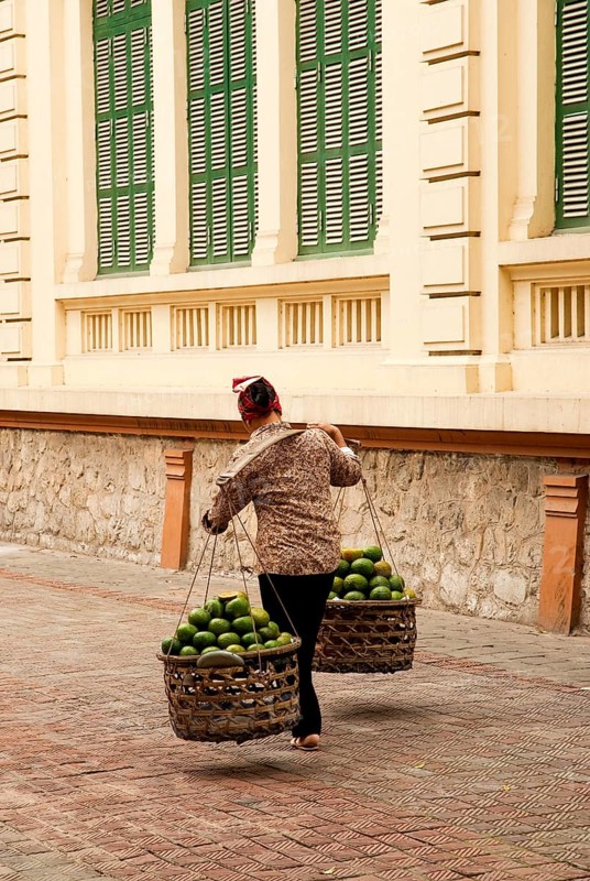 Fruit vendor in hanoi vietnam street