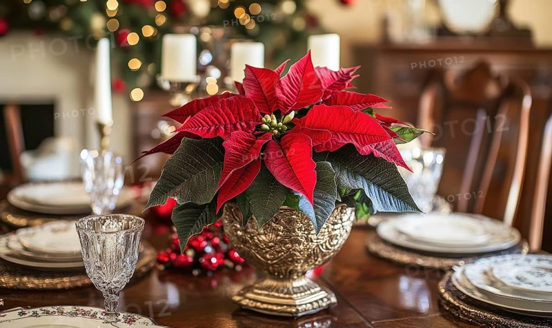 Festive table setting with a red poinsettia centerpiece, elegant glassware, and candles, creating a warm holiday atmosphere AI generated