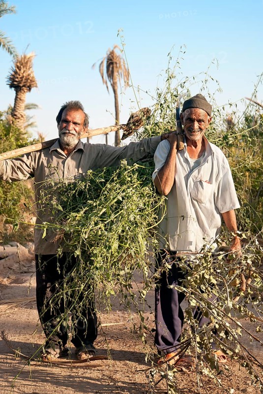 Persian farmers in garmeh oasis near yazd in iran