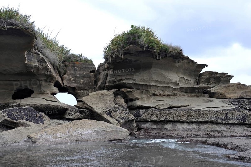 Limestone erosion at the Truman Track, Paparoa National Park, West Coast, South Island, New Zealand, Oceania