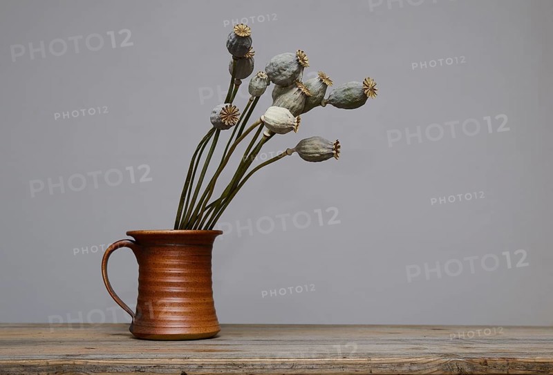 Dried poppy seed heads in a ceramic vase on wooden table