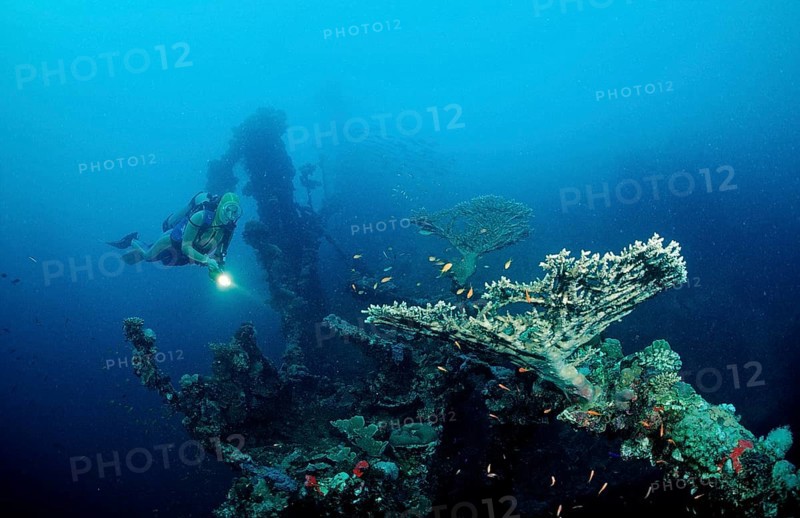 Diver on the Umbria shipwreck, Sudan, Africa, Red Sea, Wingate Reef, Africa