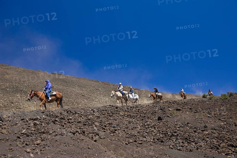 Horseback riding in the crater of the Haleakala volcano, Maui, Hawaii, USA, North America