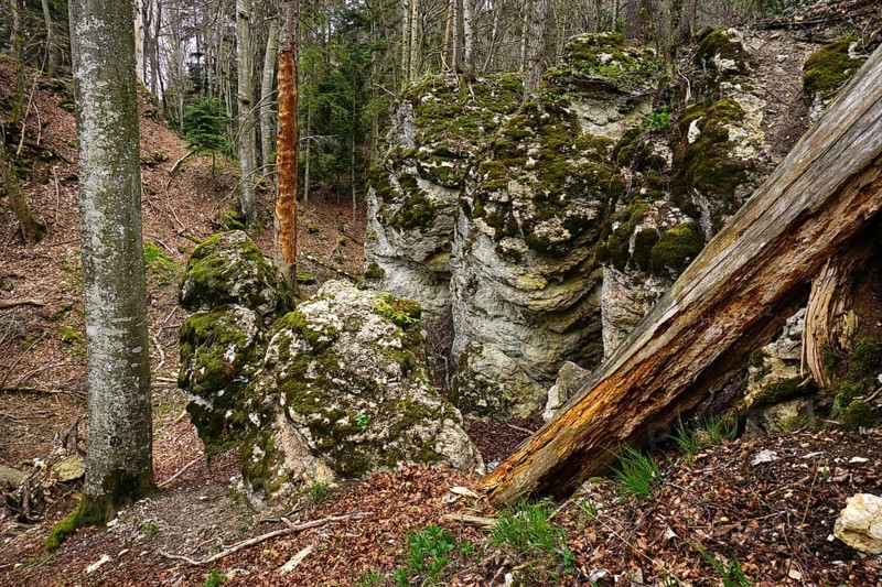Felsenmeersteig, Swabian Alb, near Albstadt-Laufen, Baden-Württemberg, Germany, rock sea path, Swabian Alb, at Albstadt-Laufen, Europe