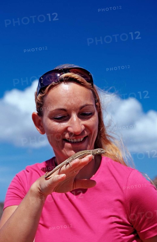 Tourist and rail lizard, Cnemidophorus murinus ruthveni, Netherlands Antilles, Bonaire, Washington Slagbaai National Park, Boka Chikitu