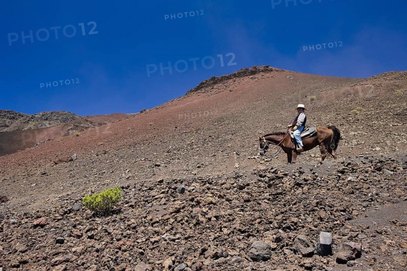 Horseback riding in the crater of the Haleakala volcano, Maui, Hawaii, USA, North America