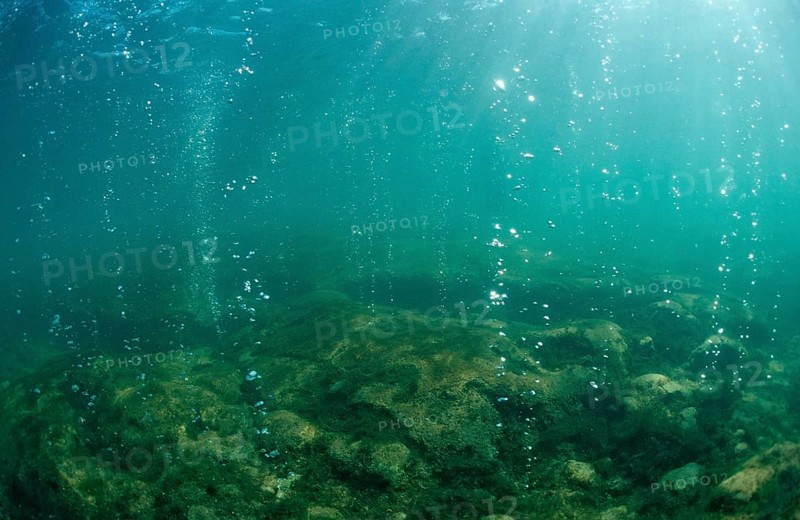 Volcanic gas bubbles, Bahamas, Great Abaco, Atlantic Ocean, Central America