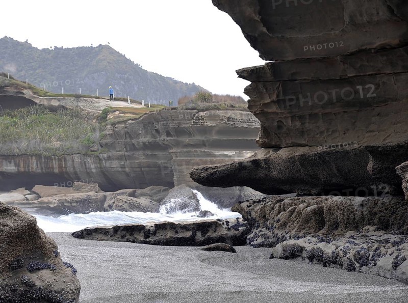Limestone erosion at the Truman Track, Paparoa National Park, West Coast, South Island, New Zealand, Oceania