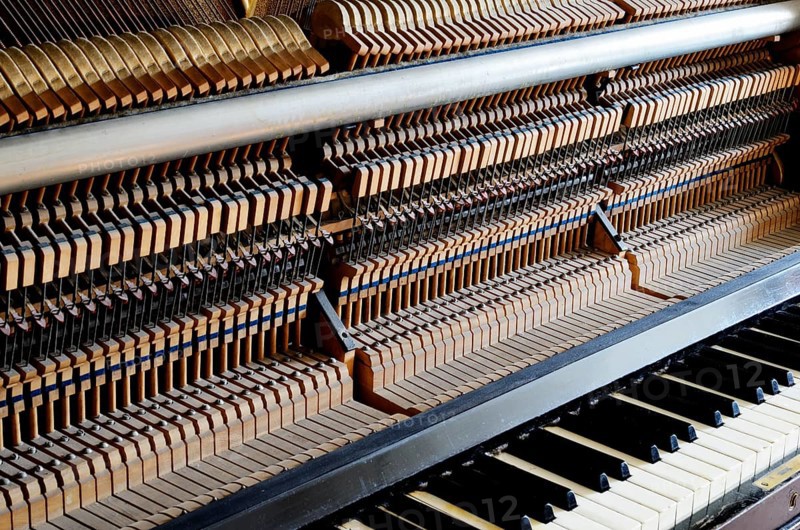 Inside the piano: string, pins, keys and hammers